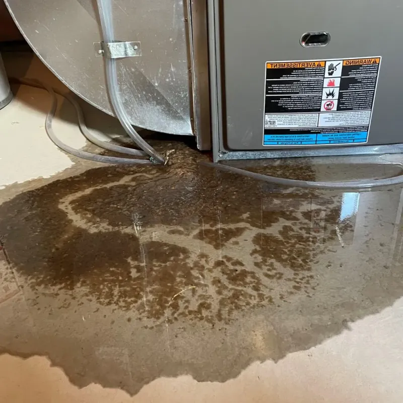 Pipe Burst and Leak Restoration in Haltom City, TX