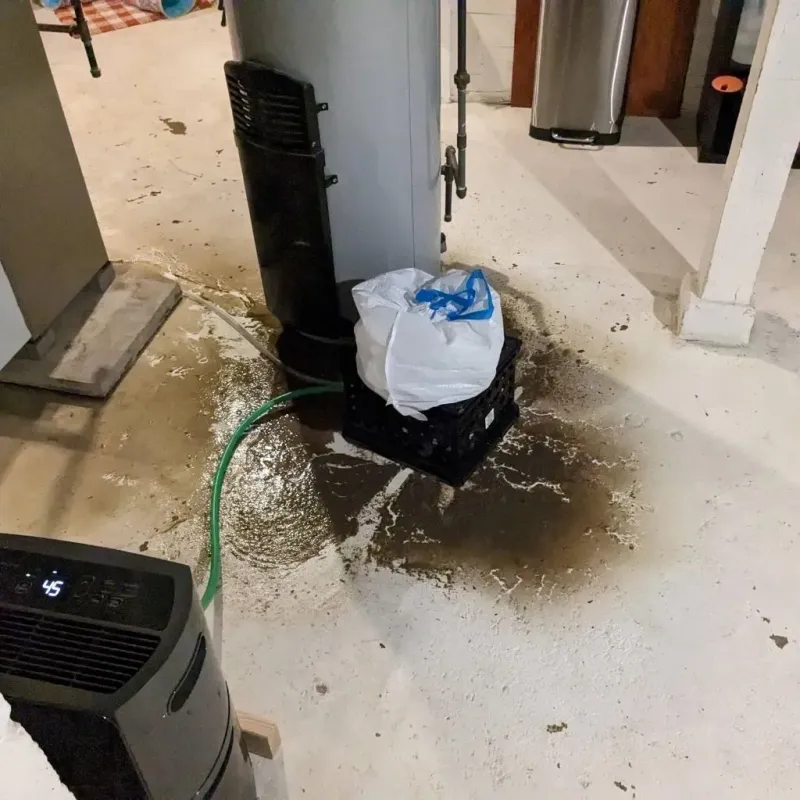 Sewage Backup Cleanup Service in Haltom City, TX
